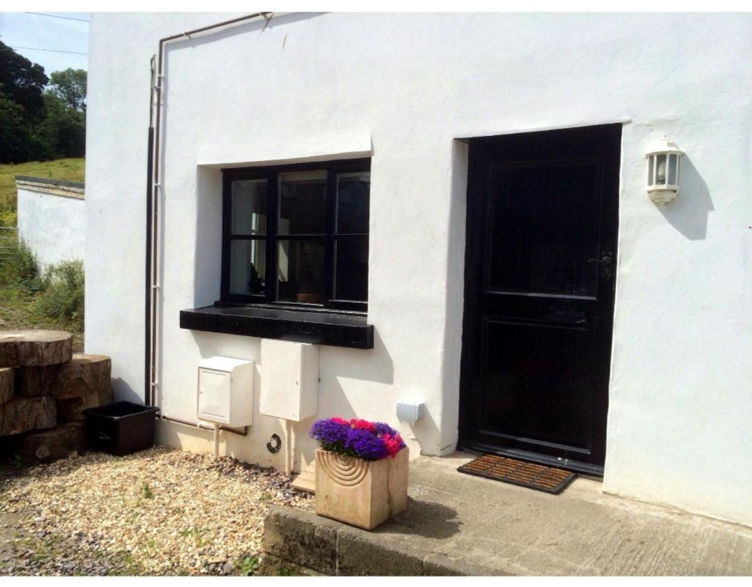 Laston Mews Ilfracombe Bagian luar foto